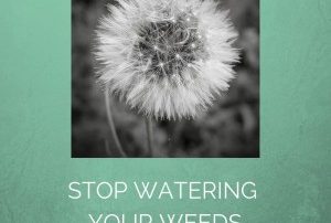 Stop Watering Your Weeds, Ken Okel, Leadership speaker in Miami Orlando Florida, Productivity expert Ken Okel, get more done at work, Productivity tips from Ken Okel